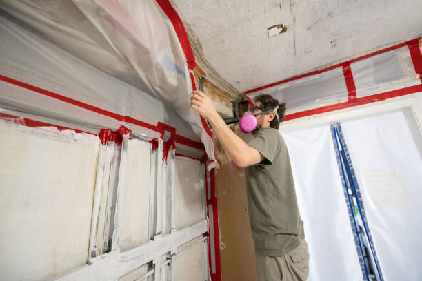 Best HVAC Mold Inspection and Cleaning  in Cannon Falls, MN