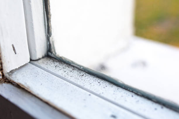 Best Indoor Air Quality Assessment  in Cannon Falls, MN